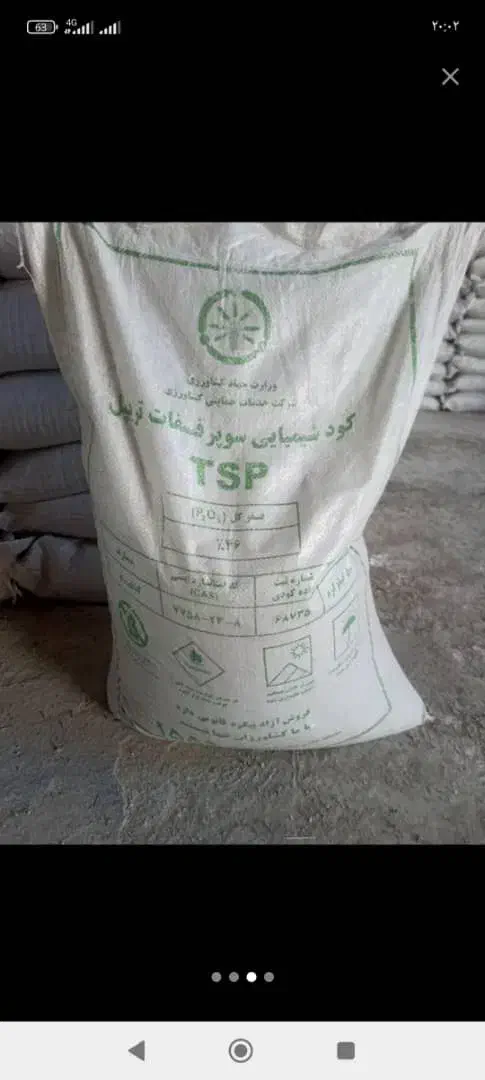 بذر چغندروکودکشاورزی|خدمات باغبانی و درختکاری|نهاوند, |دیوار