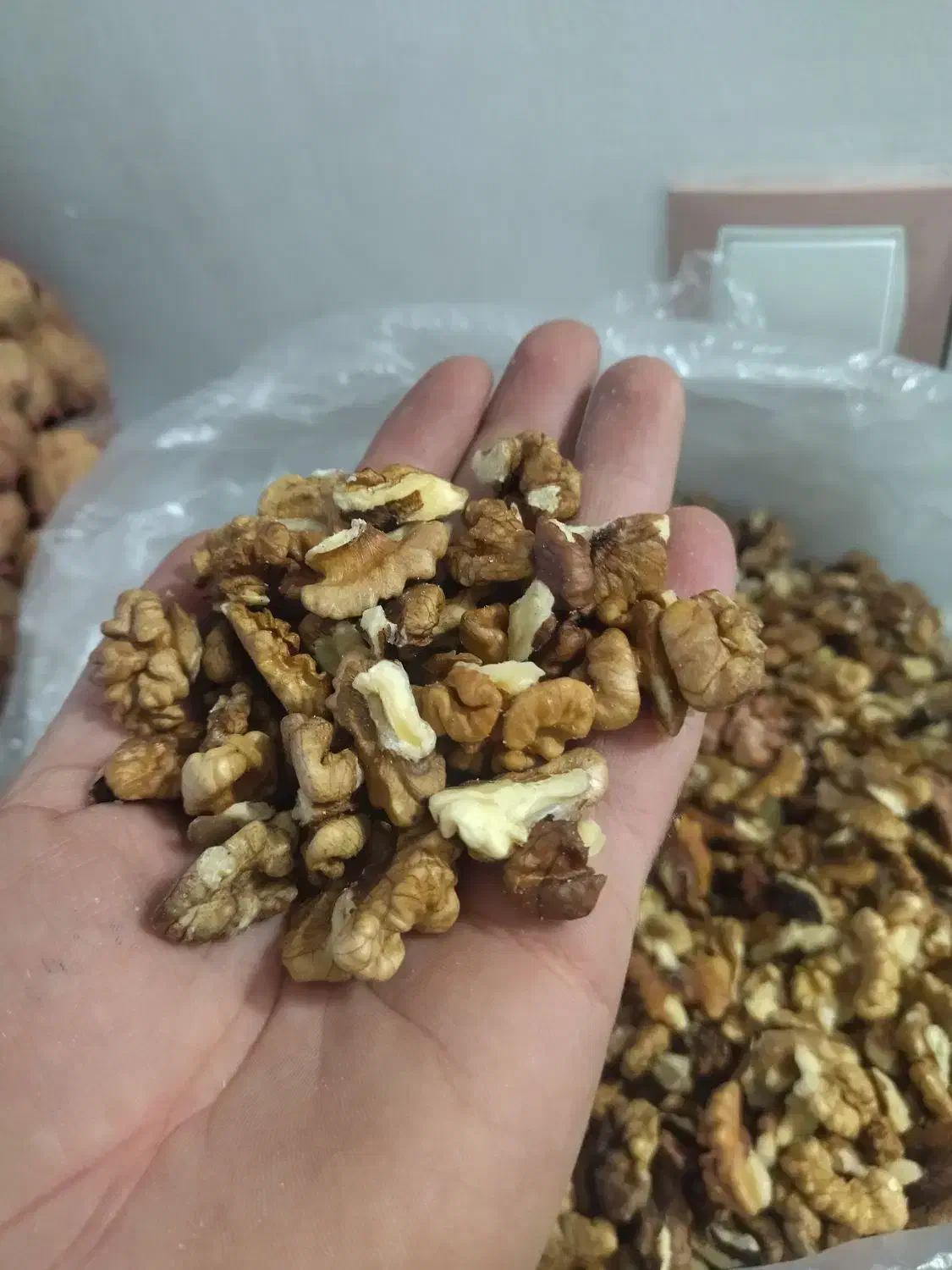 مغز گردو 5 کیلو|حراج|مریوان, |دیوار