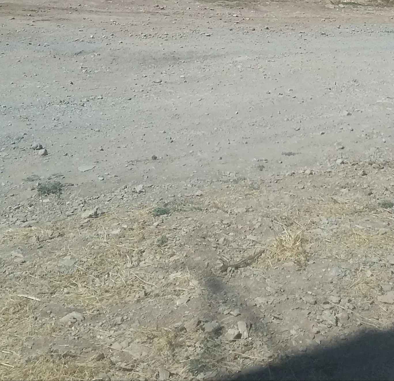 زمین|فروش زمین و ملک کلنگی|شهریار, شهرک بهاران (ویره)|دیوار