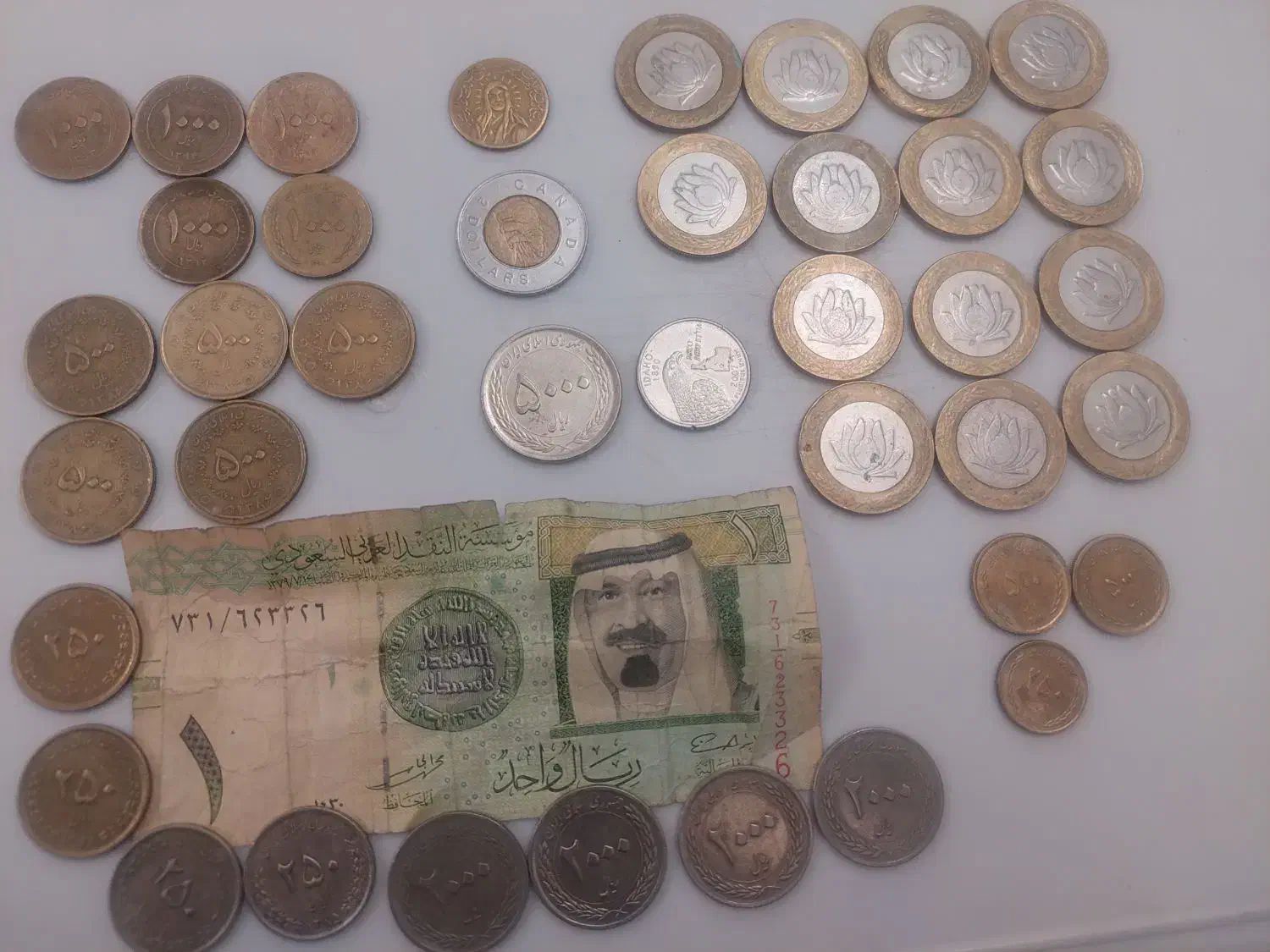 سکه های کلکسیونی|کلکسیون سکه، تمبر، اسکناس|مراغه, |دیوار