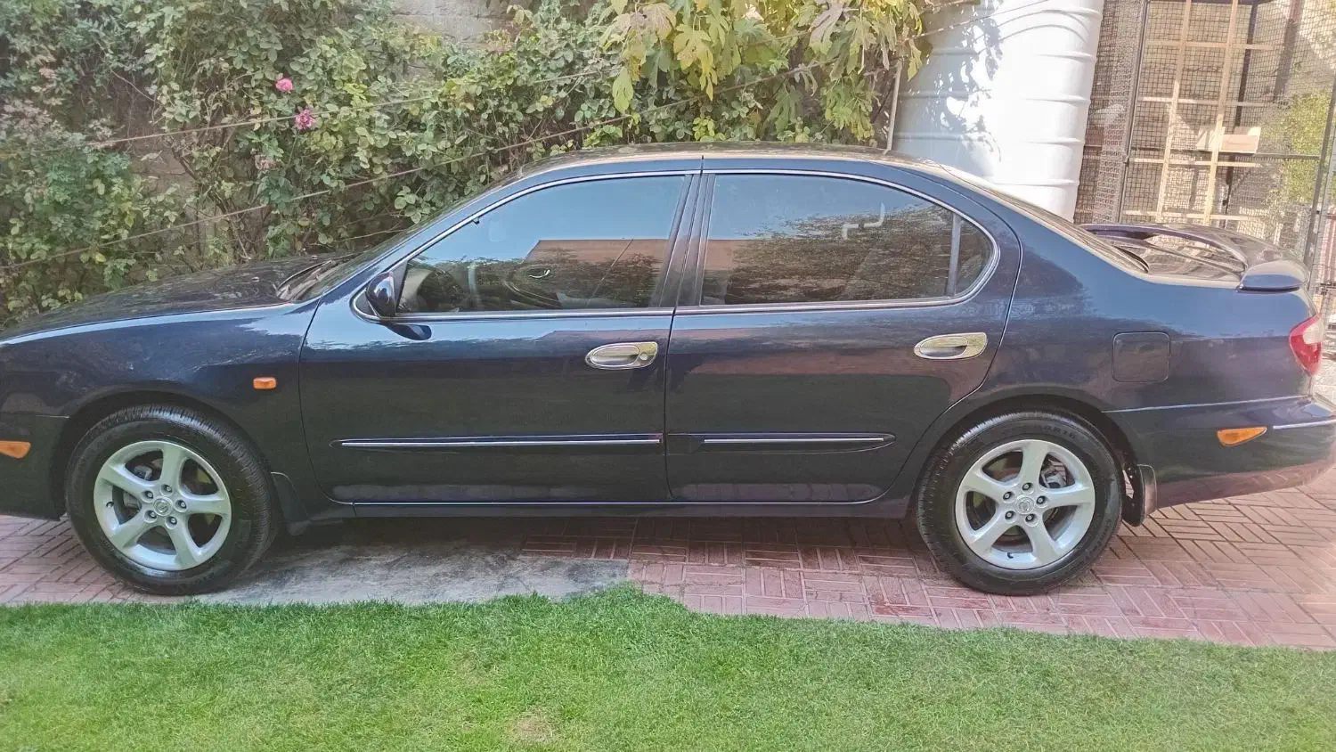 ماکسیما مدل ۸۱ دنده ای|خودرو سواری و وانت|تهران, آسمان|دیوار