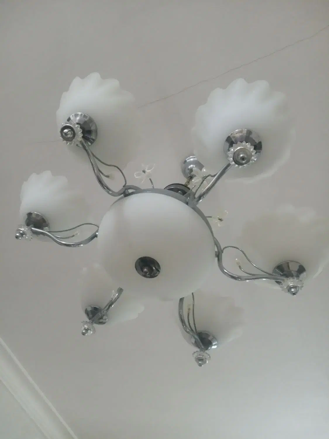 لوستر|لوستر و چراغ آویز|رشت, فلسطین|دیوار