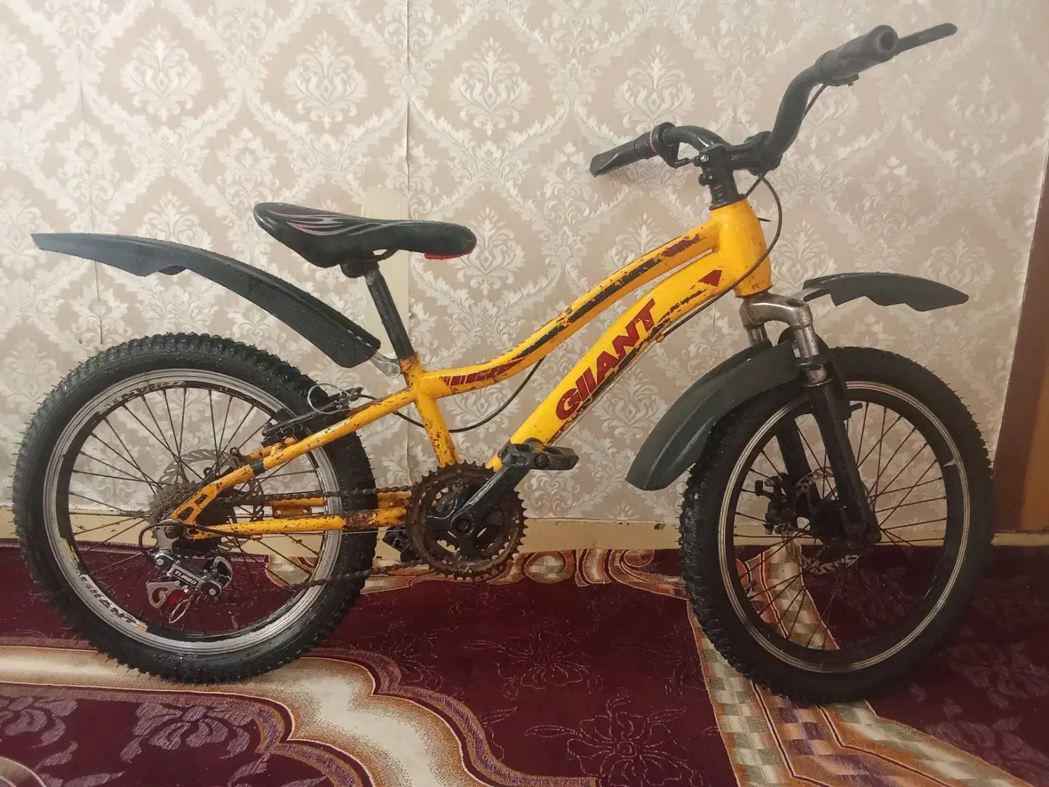 20دنده ای|دوچرخه، اسکیت، اسکوتر|شوشتر, |دیوار