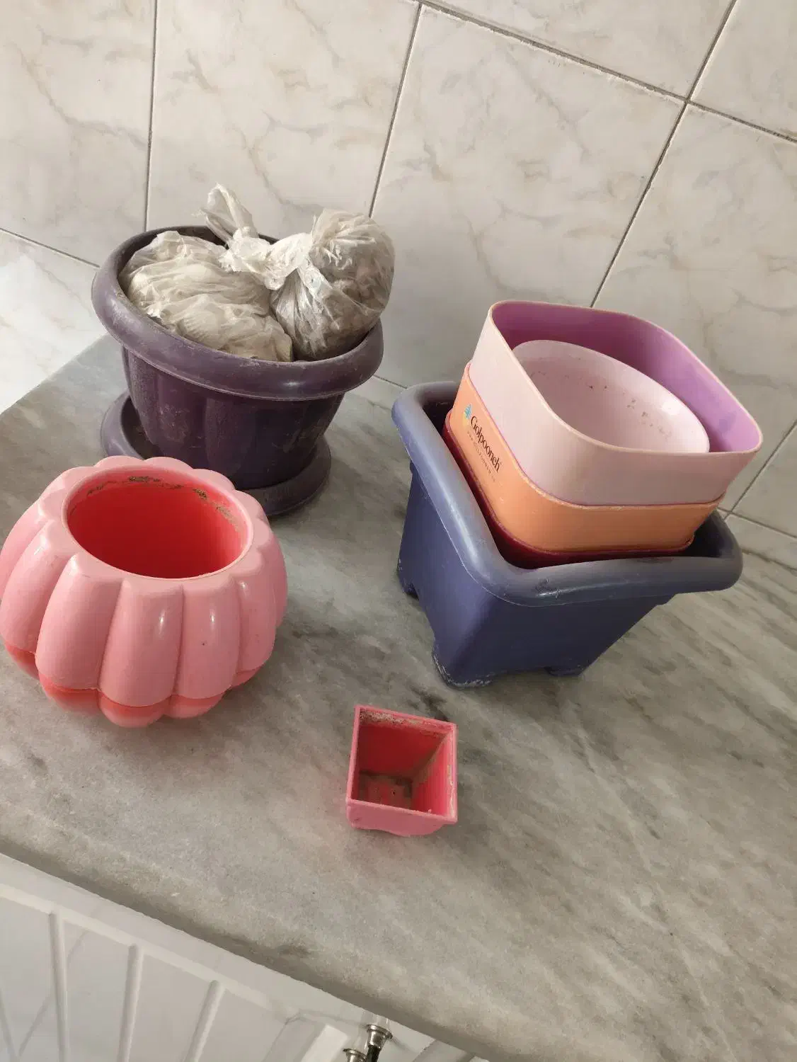 گلدان گل|گل و گیاه طبیعی|قم, نخودی|دیوار