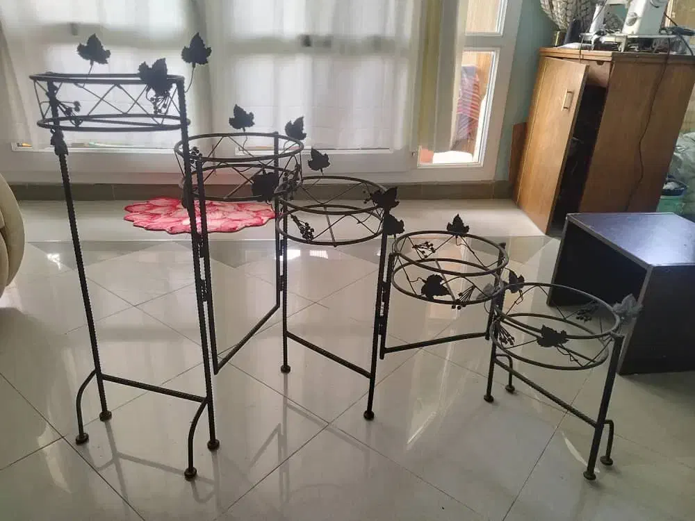 گلدان|گل و گیاه طبیعی|تهران, سوهانک|دیوار