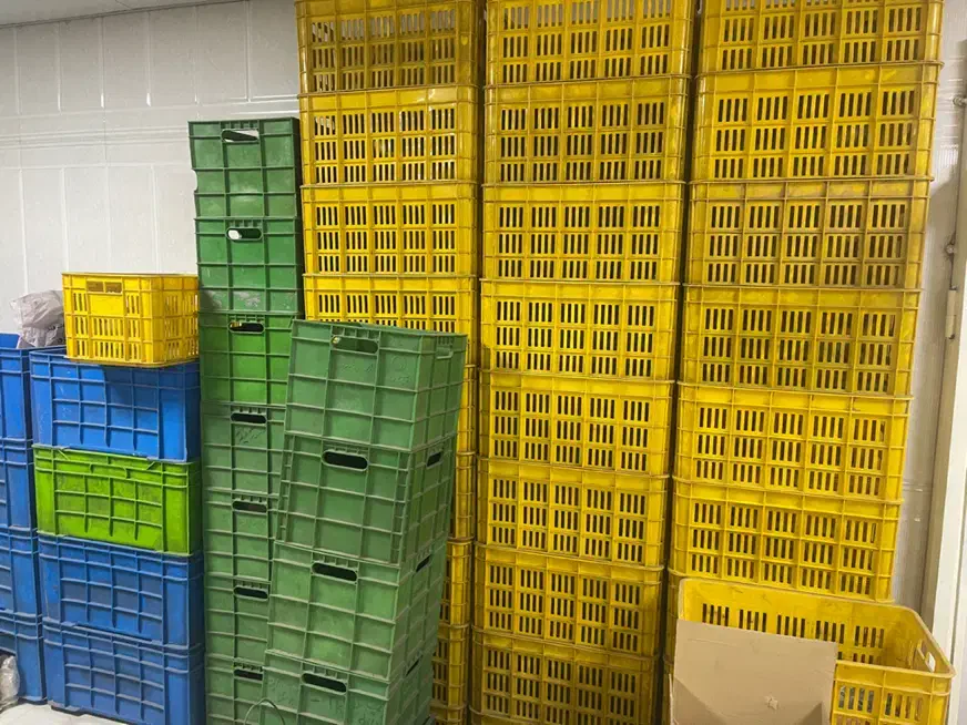 سبد|ظروف نگهدارنده، پلاستیکی، یک‌بارمصرف|زنجان, |دیوار