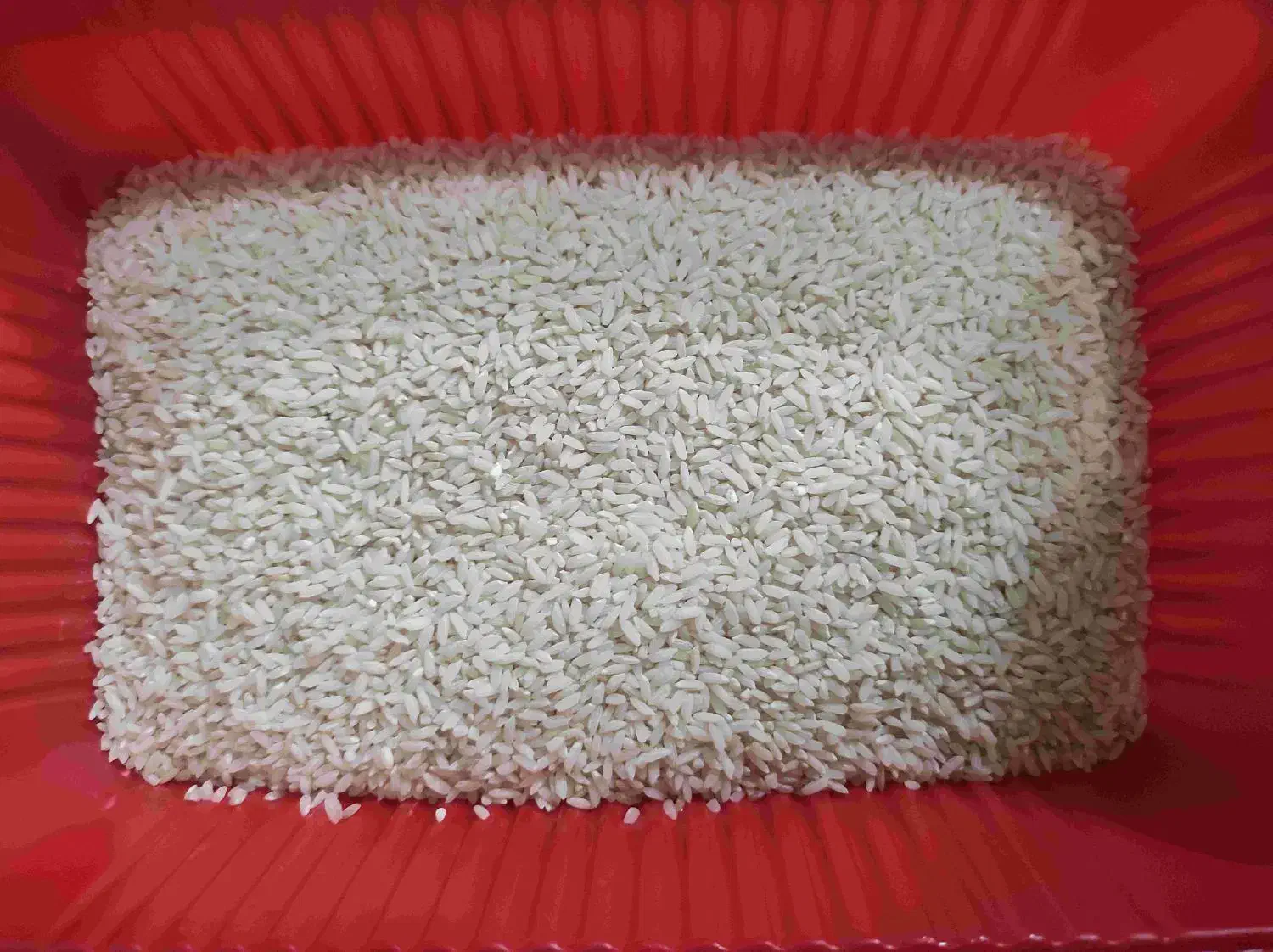 برنج سده لنجان درجه یک|خوردنی و آشامیدنی|لنجان, |دیوار