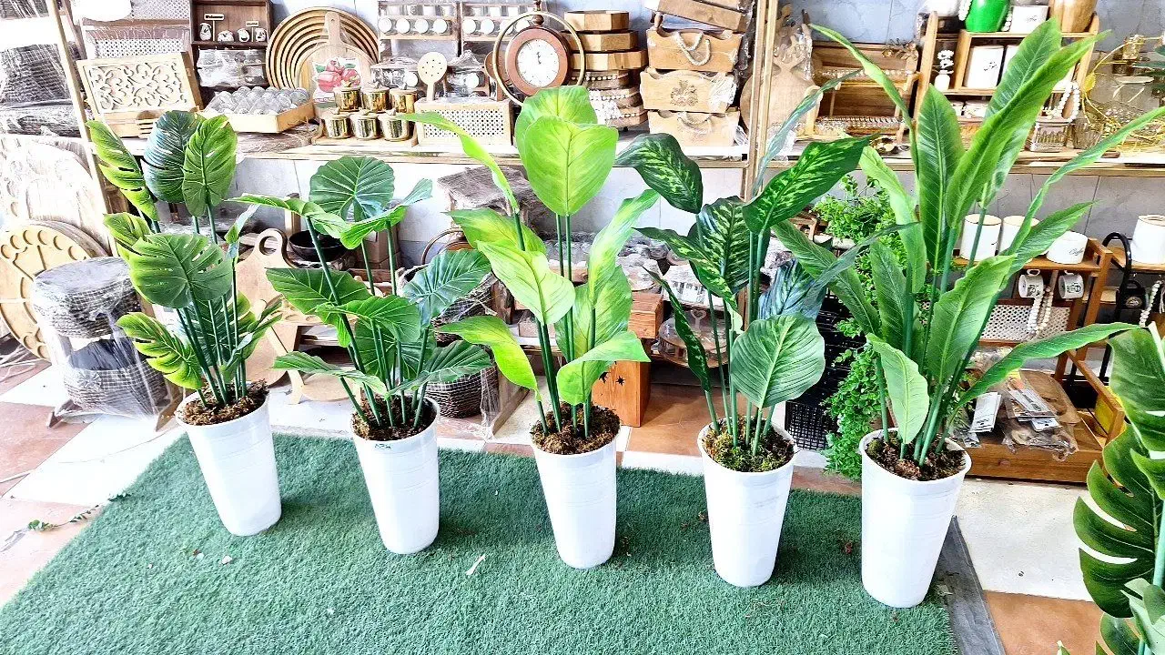 درختچه وگل نقدوقسطی|گل مصنوعی|کوهدشت, |دیوار