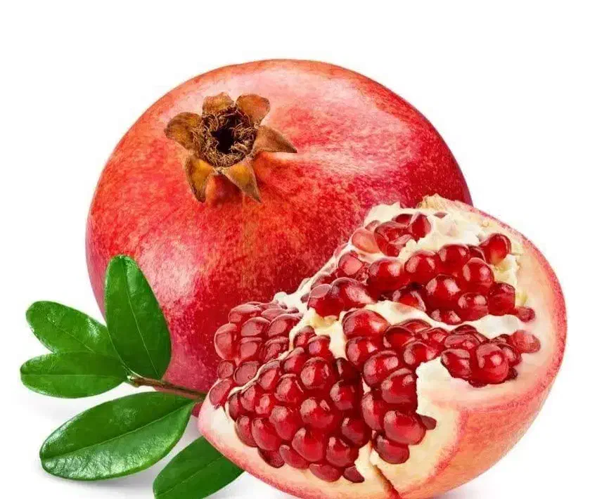 پیشفروش نهال انار خزر بردسکن|خدمات باغبانی و درختکاری|سرعین, |دیوار