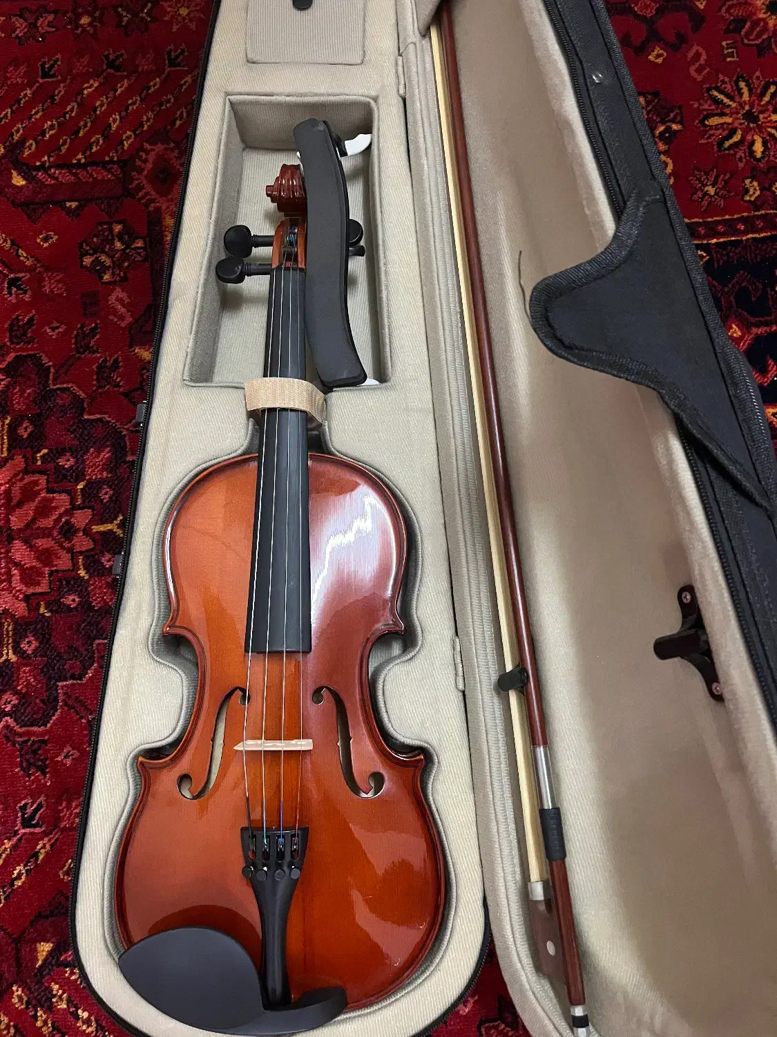 ویولون 3/4|ویولن|رشت, سلیمانداراب|دیوار