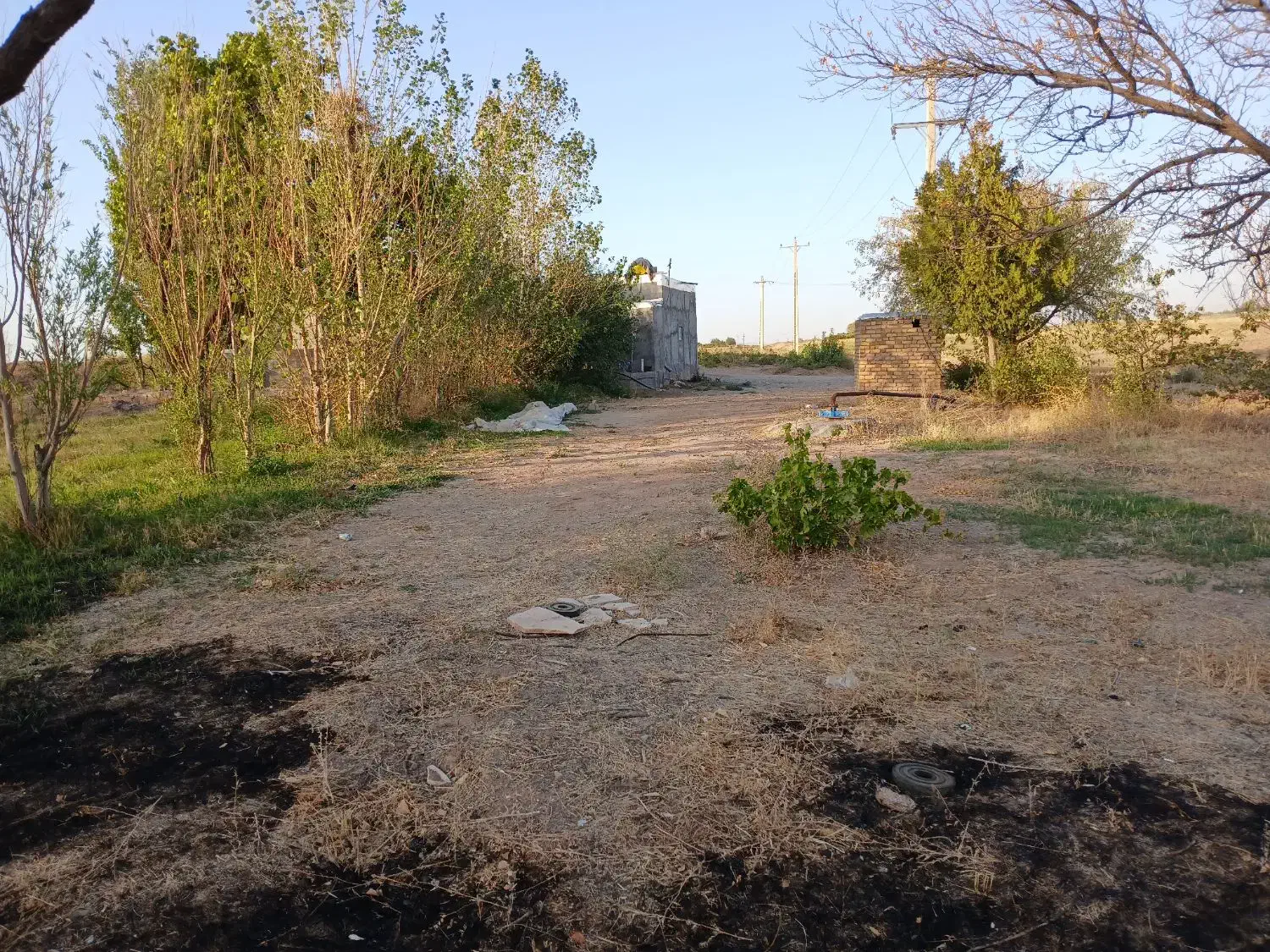 فروش باغ ۱۵۰۰ متری و ۱۰۰۰۰متری|فروش دفتر صنعتی، کشاورزی، تجاری|زنجان, |دیوار