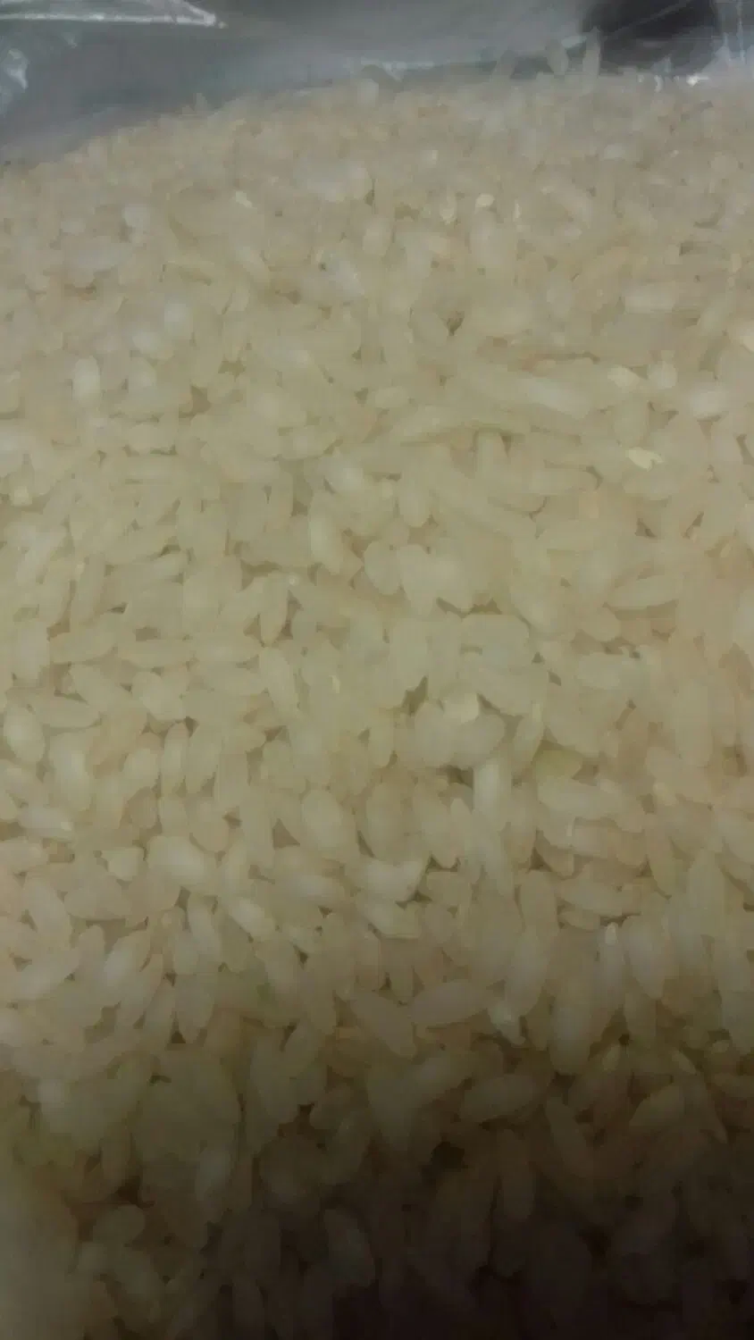 برنج کامفیروزی با طعم و عطر عالی 10 کیلویی|خوردنی و آشامیدنی|صدرا-فارس, فاز ۲|دیوار