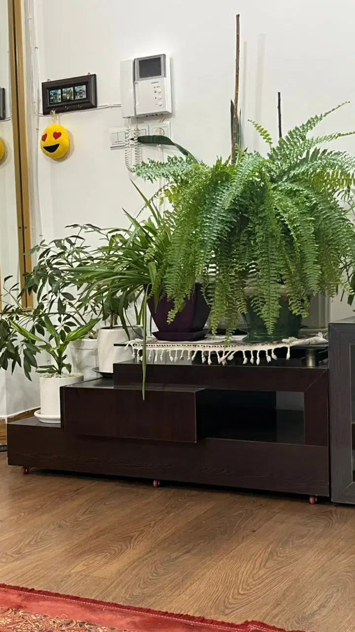 میز جلو مبلی|مبلمان خانگی و میز عسلی|اسفراین, |دیوار