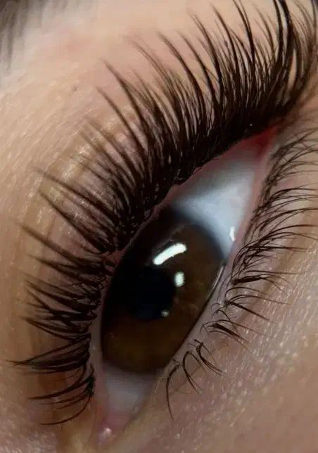 مدل رایگان برای آموزش به هنرجو توسط مربی|خدمات آرایشگری و زیبایی|خرمآباد, |دیوار