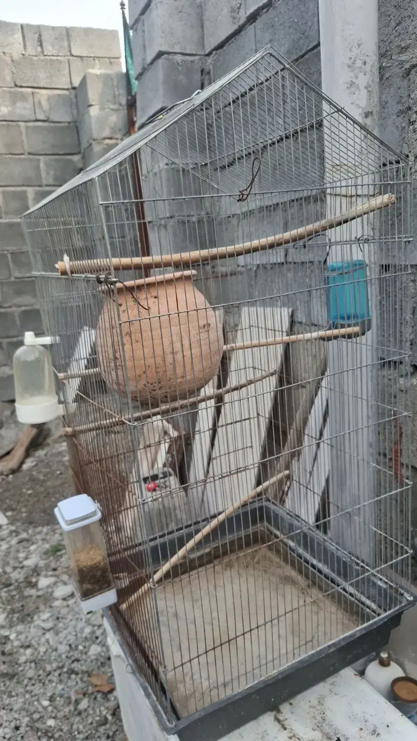 قفس پرنده|لوازم جانبی حیوانات|بیکاه, |دیوار