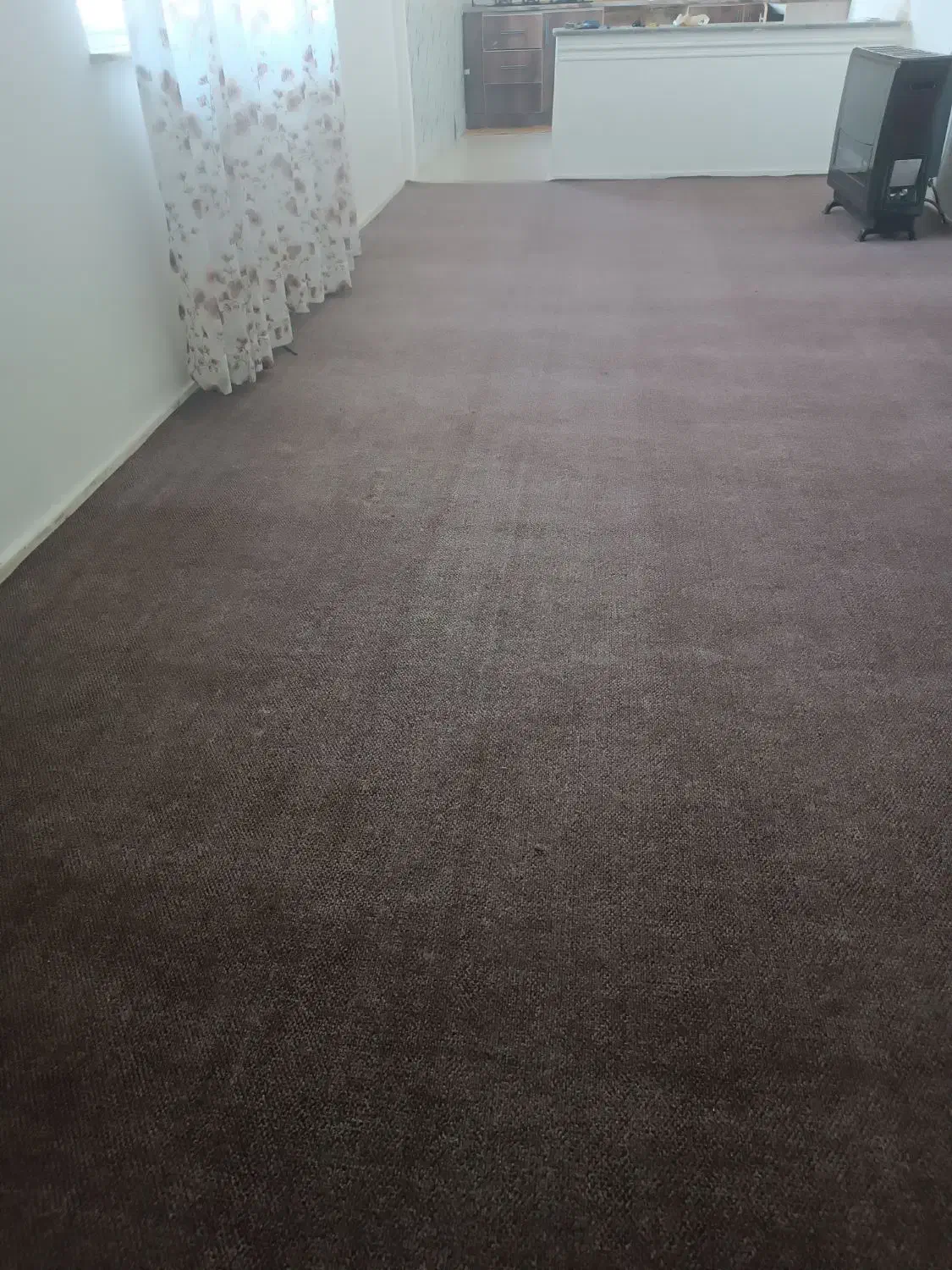 موکت  دولایه ضدنم ورطوبت زیرقیمت|موکت|رشت, ولکس|دیوار