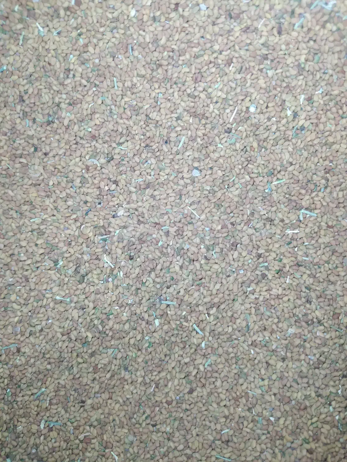 تخم یونجه...|حیوانات مزرعه|کرباسک, |دیوار