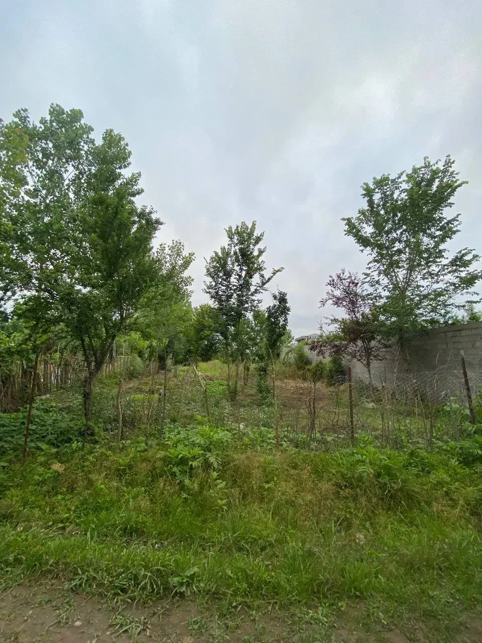 فروش زمین مسکونی|فروش زمین و ملک کلنگی|رشت, گلسار|دیوار