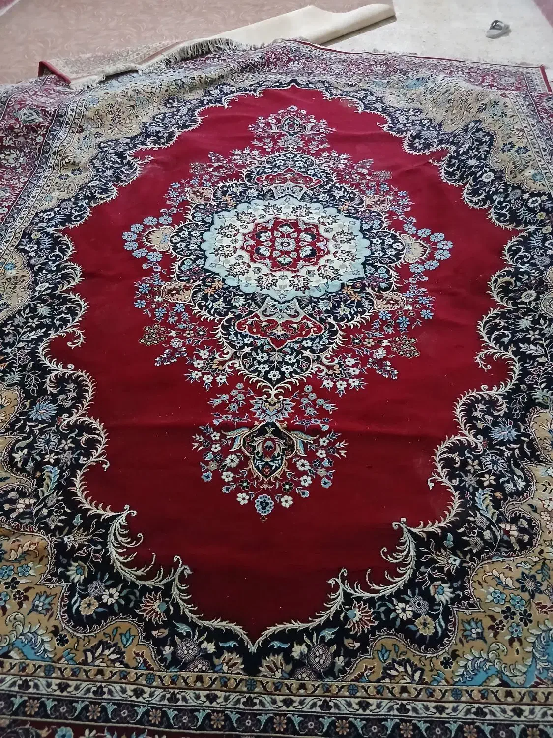 قالی 12 متری 500 شانه|فرش|کارون, |دیوار