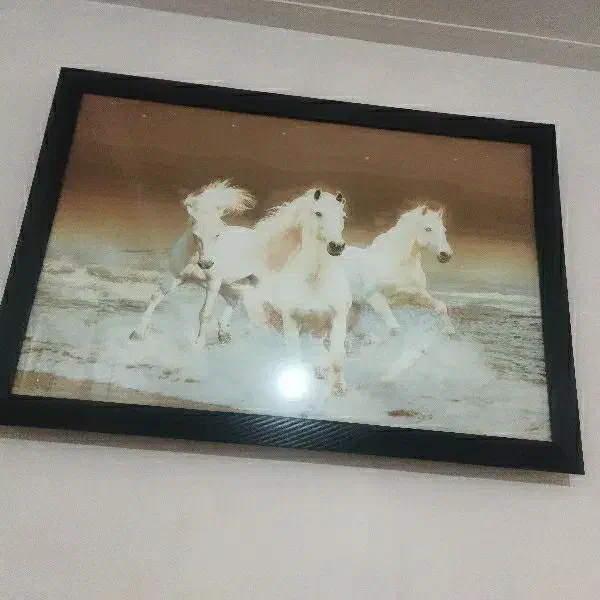 تابلو ال ای دی دار سه اسب|تابلو، نقاشی، عکس|اسدآباد, |دیوار