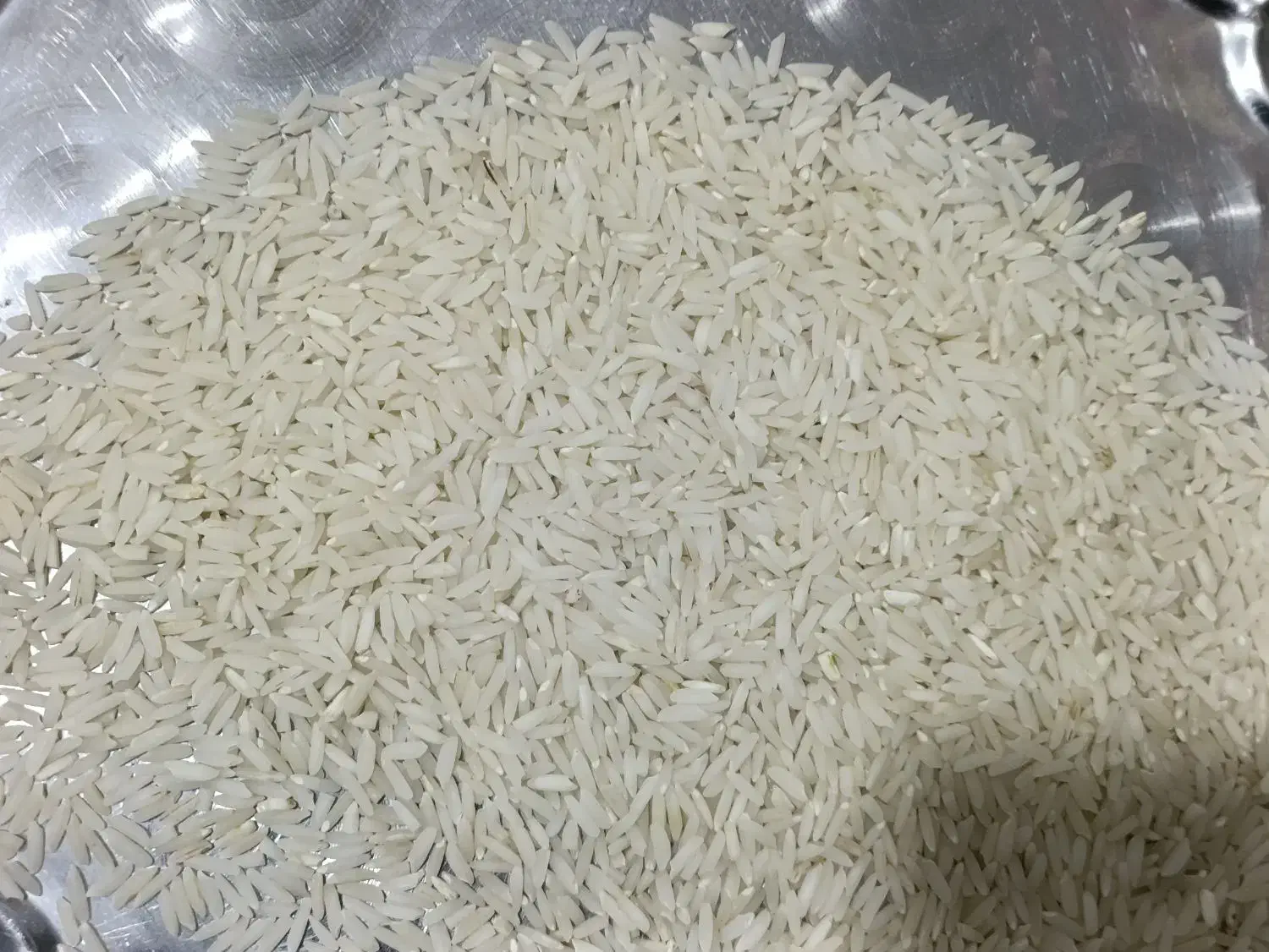 برنج هاشمی|خوردنی و آشامیدنی|سنگر, |دیوار