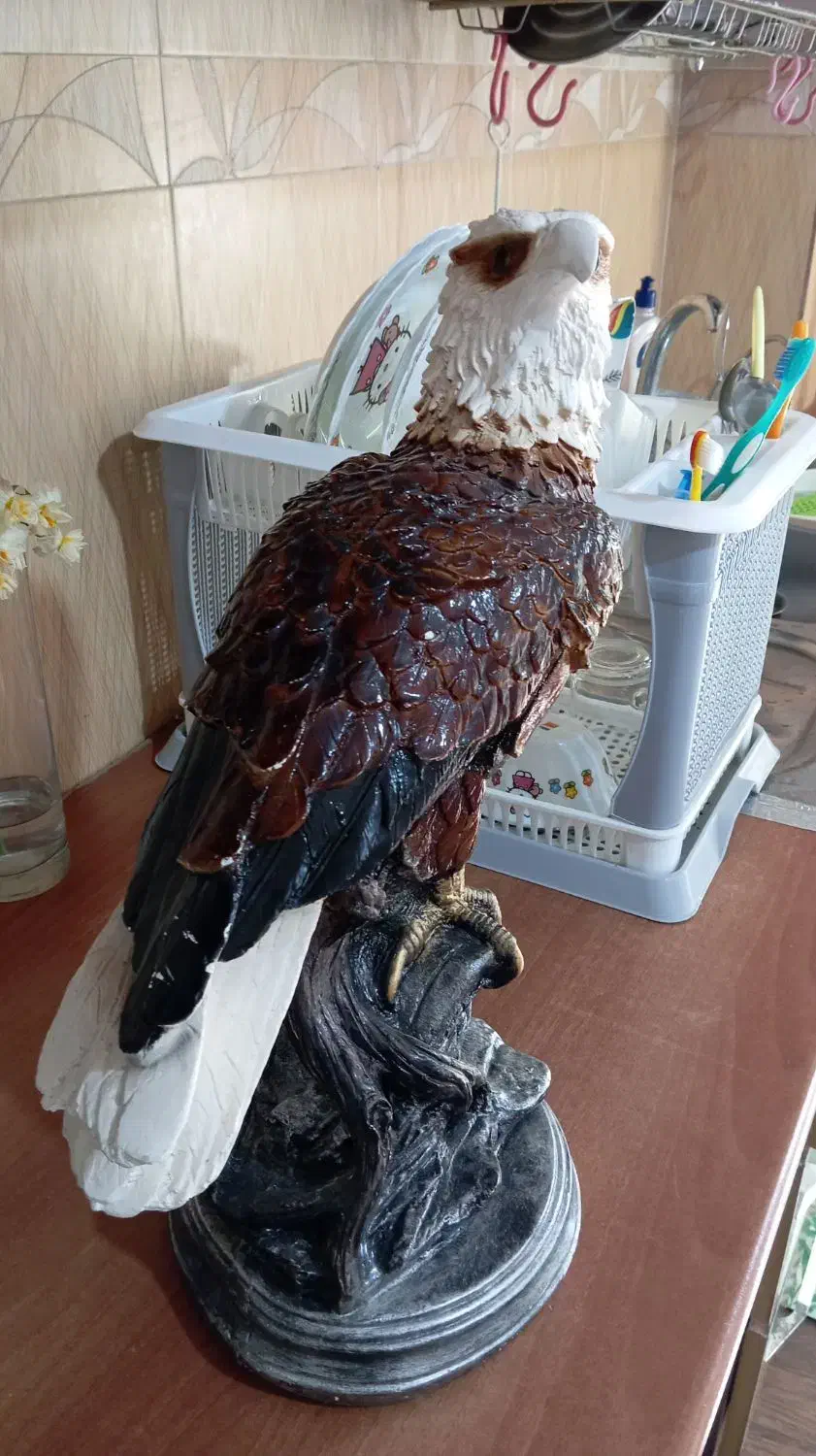 مجسمه عقاب|مجسمه، تندیس، ماکت|قرق, |دیوار