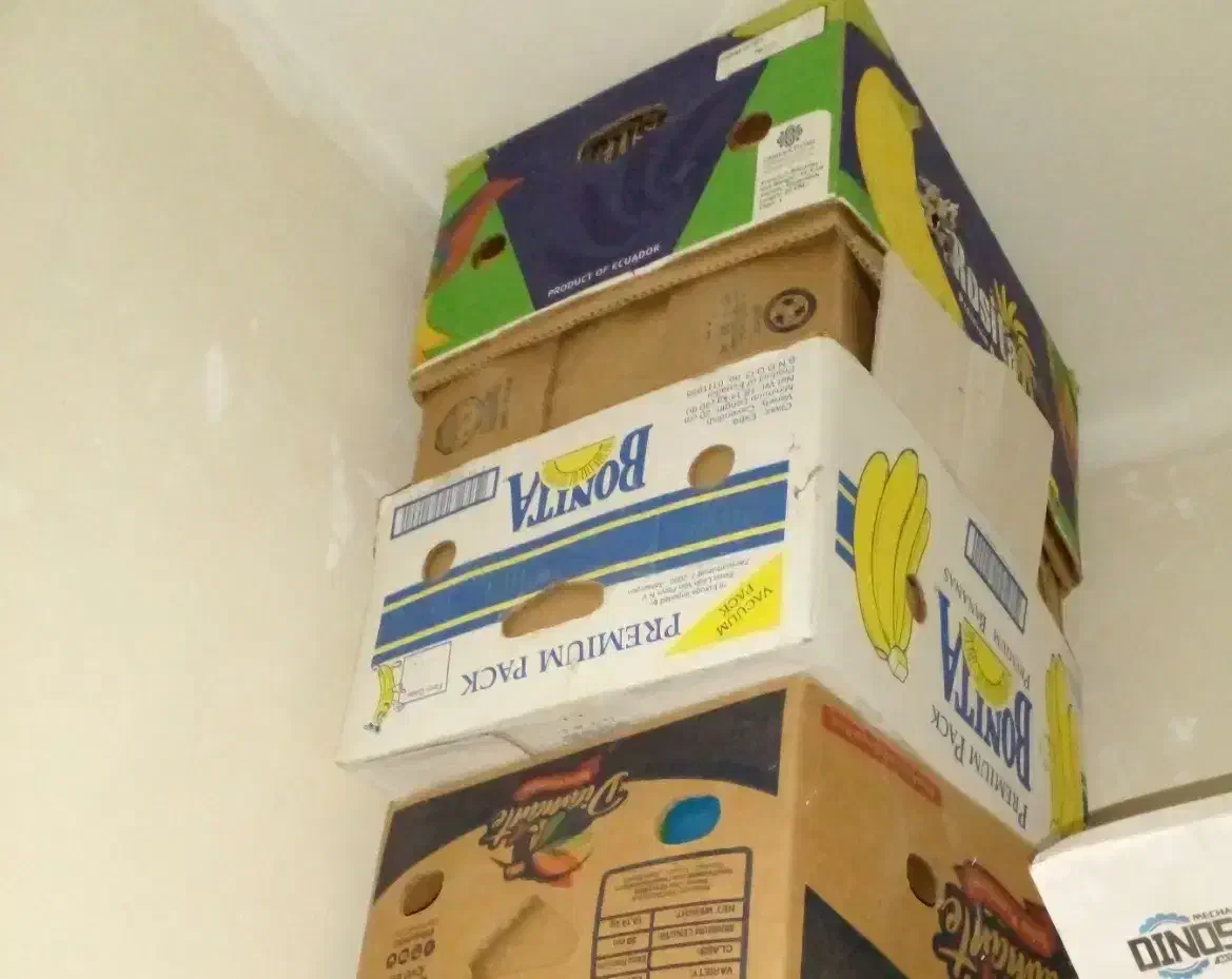 کارتن موزی|خوردنی و آشامیدنی|مشهد, هفت تیر (حافظ)|دیوار