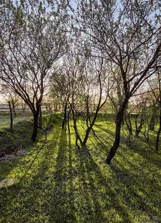 زمین باغ شهری گلاب دره|فروش زمین و ملک کلنگی|شیراز, ریشمک|دیوار