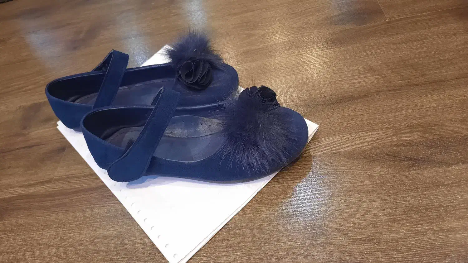 کفش های شیک دخترانه|کفش و لباس بچه|رشت, کاکتوس|دیوار