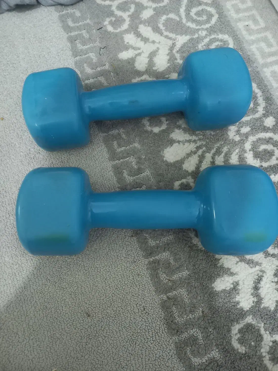 دمبل ۱۰ کیلویی سالم|تجهیزات ورزشی|نسیم‌شهر, |دیوار