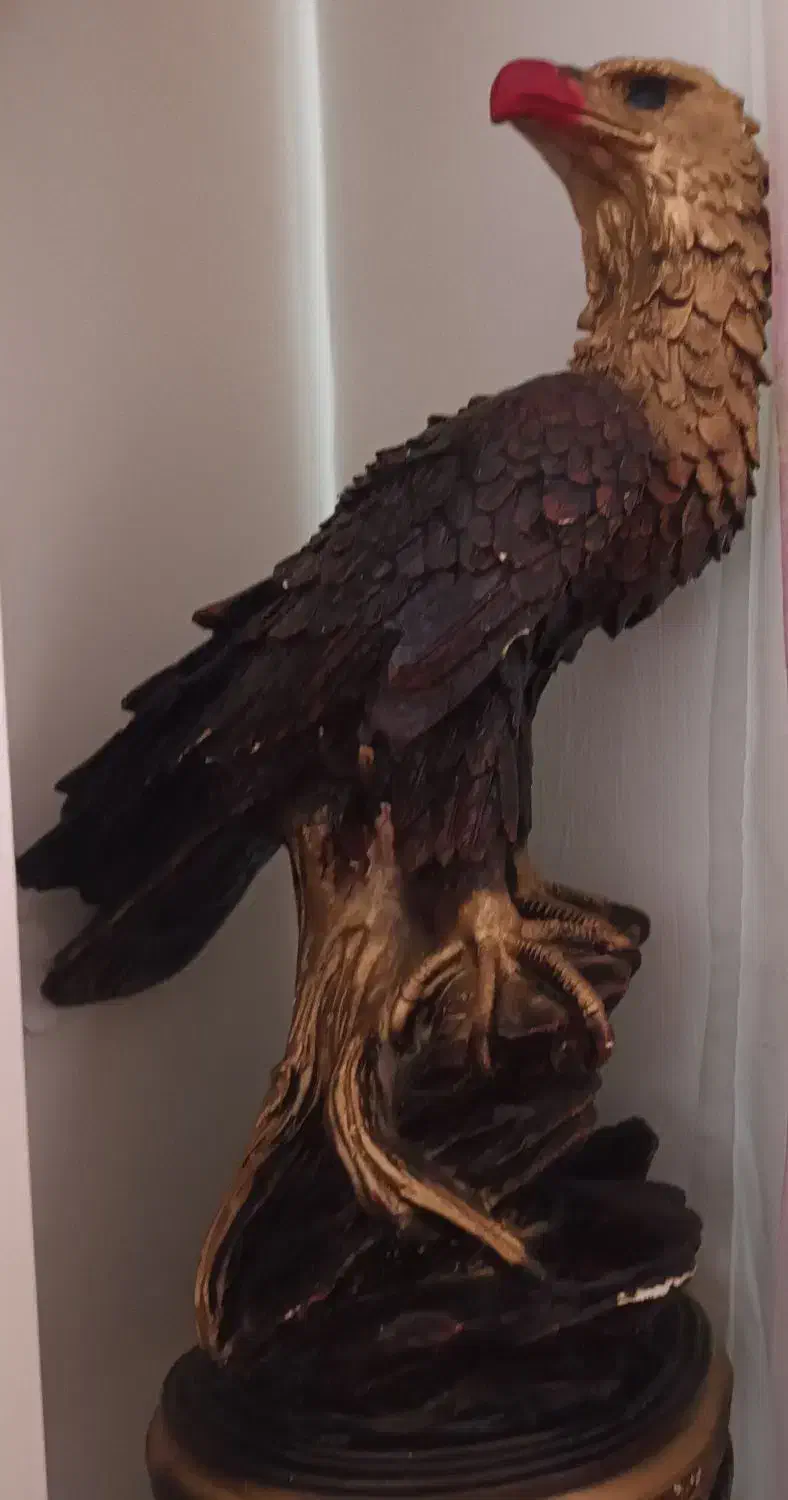 عقاب|مجسمه، تندیس، ماکت|دامغان, |دیوار