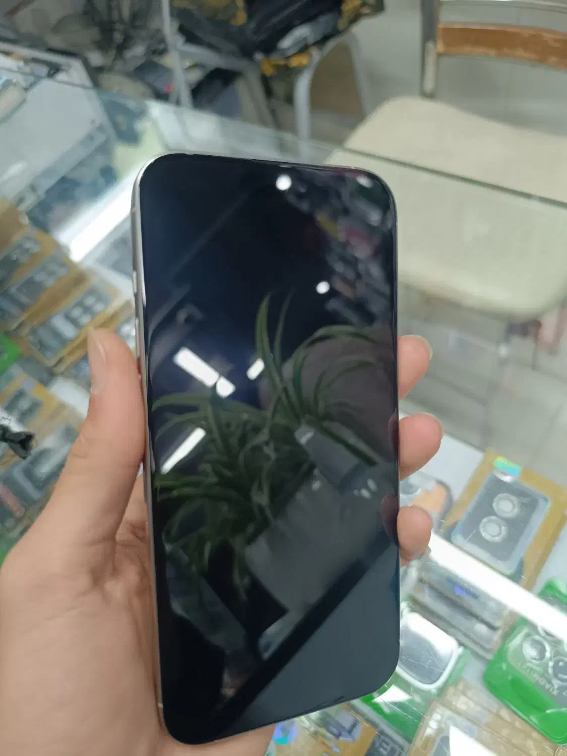 16promax|موبایل|مرودشت, ژیان|دیوار