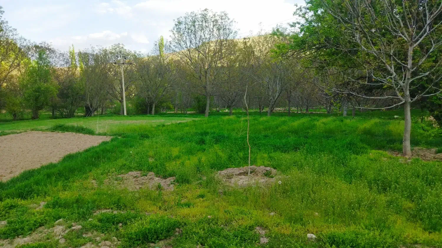 اجاره سوییت در روستا|اجارهٔ کوتاه‌مدت ویلا و باغ|شیروان (خراسان), |دیوار