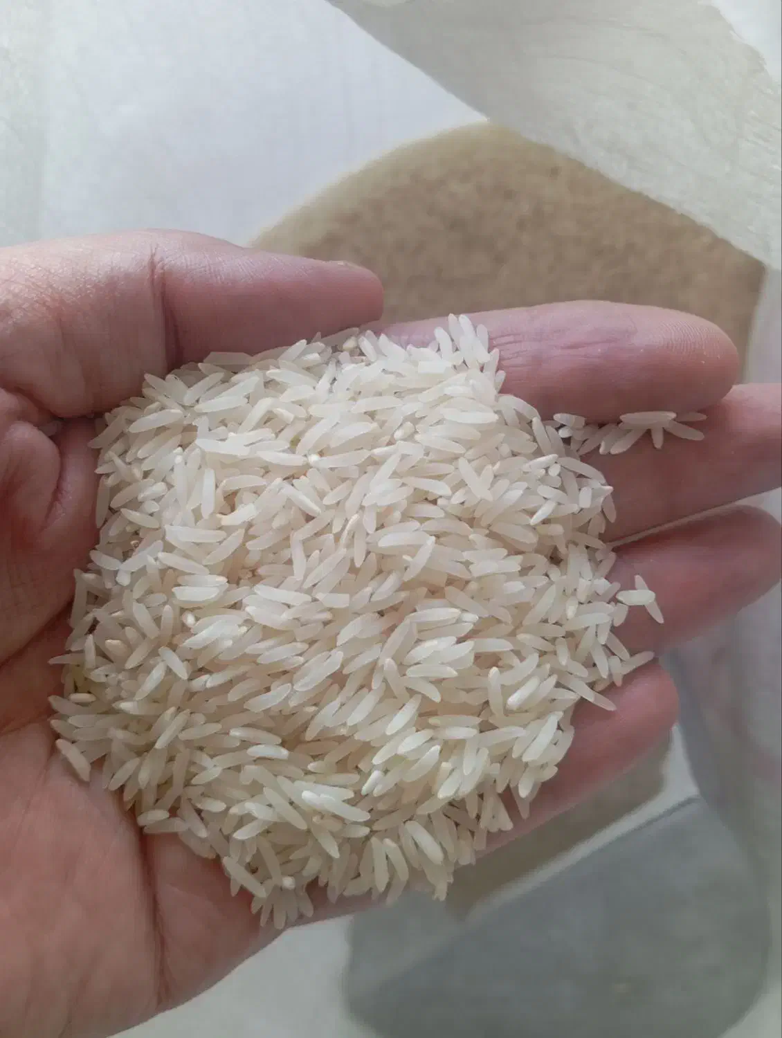 برنج خوش پخت و خوش عطر|خوردنی و آشامیدنی|آزادشهر, |دیوار