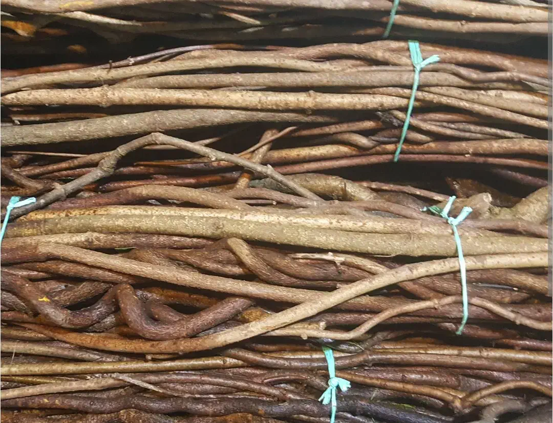 چوب ریشه کیوی جهت تزیین دسته گل یا پاسیو|صنایع دستی و سایر لوازم تزئینی|اصفهان, مفتح|دیوار