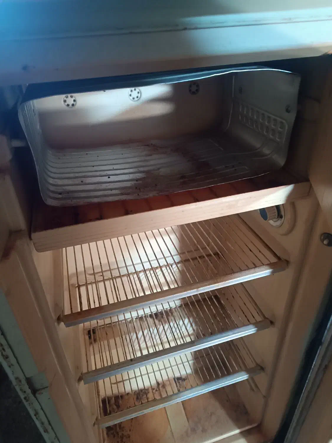 فروشی|یخچال و فریزر|آق قلا, |دیوار