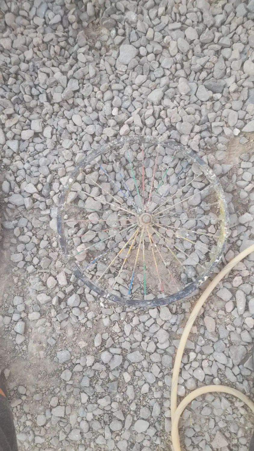 لاستیک دوچرخه۲۰|دوچرخه، اسکیت، اسکوتر|کرباسک, |دیوار