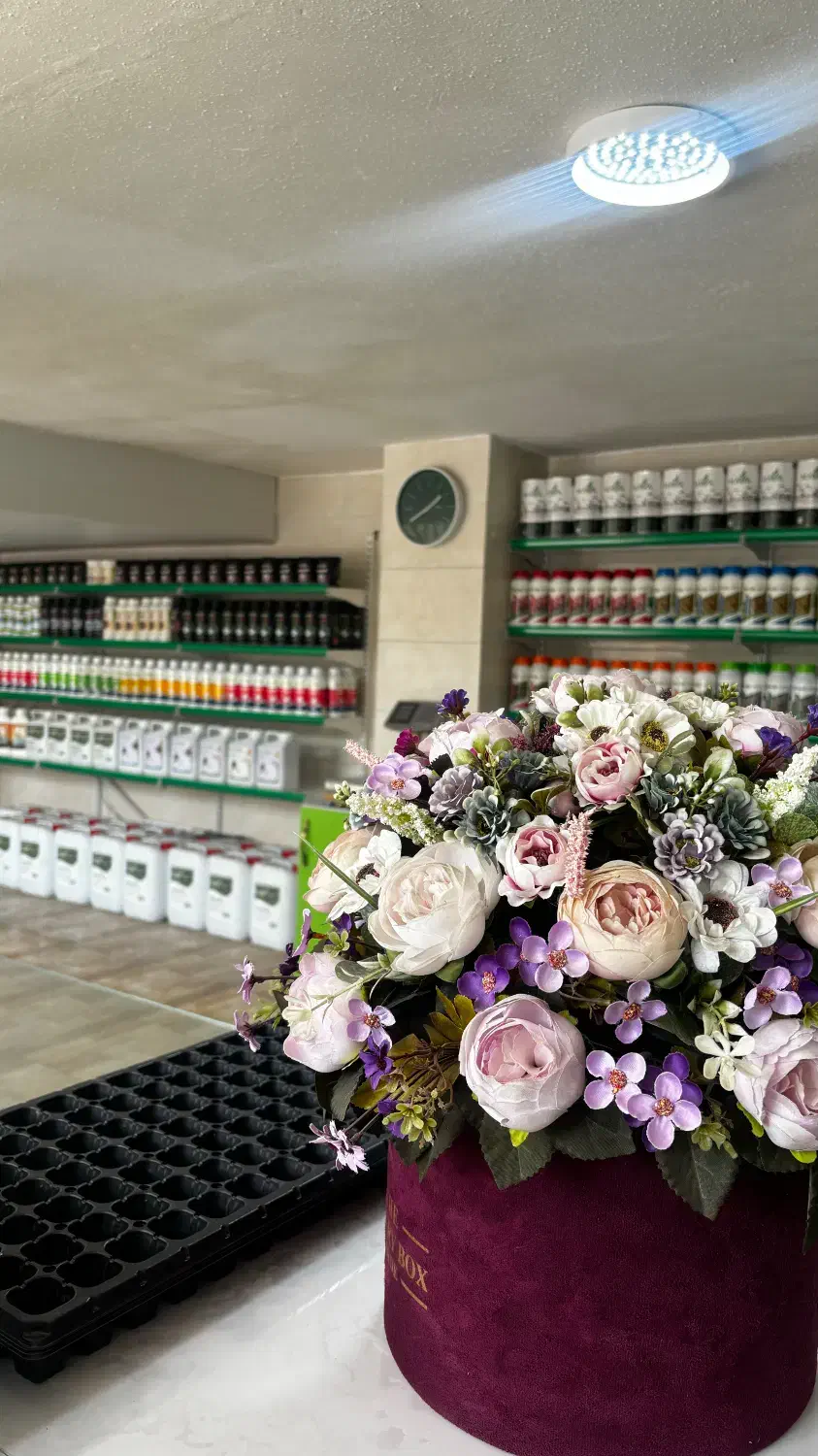 فروشگاه کشاورزی|خدمات باغبانی و درختکاری|شیراز, شهرک بهار|دیوار