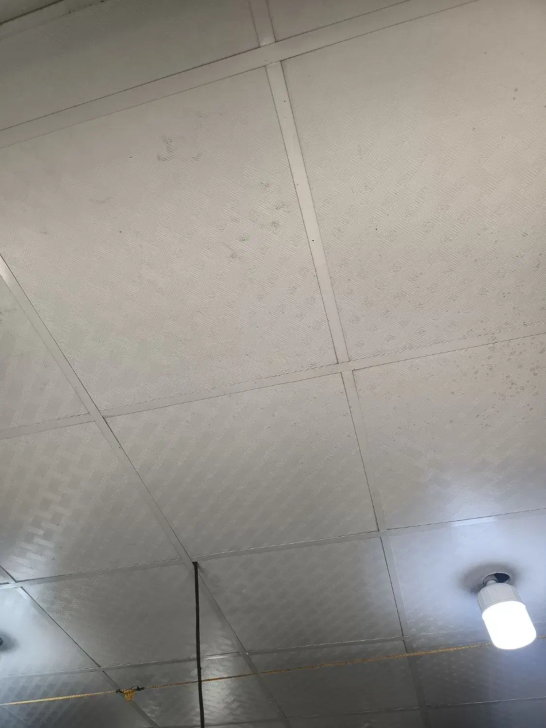 اجاره مغازه.بلوار ولایت|اجارهٔ مغازه و غرفه|سیرجان, |دیوار