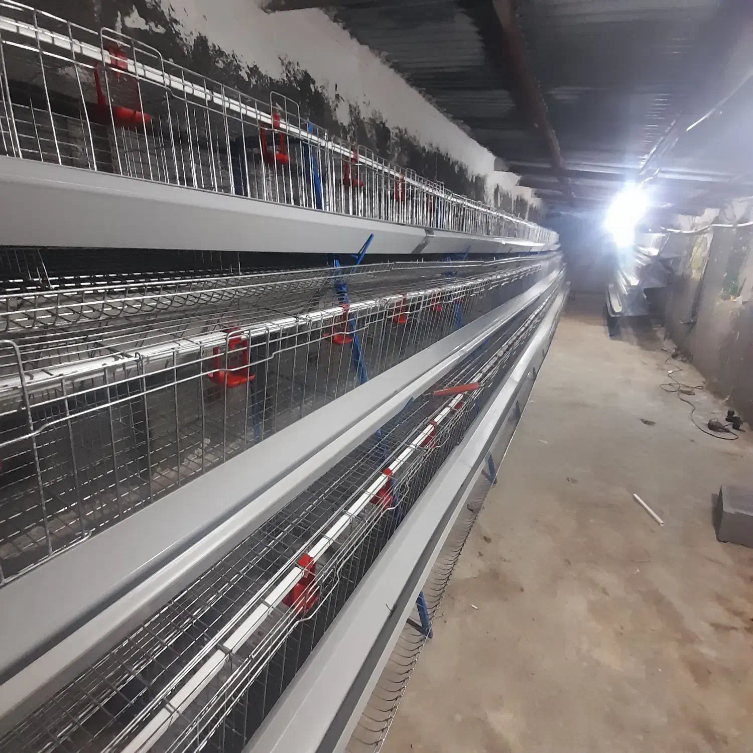 قفس مرغ تخمگذار|لوازم جانبی حیوانات|آبگرم, |دیوار