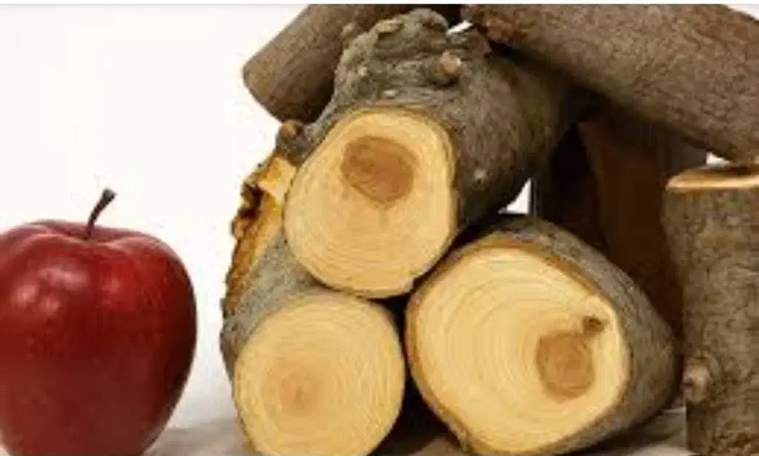 خریدار چوب سیب|خدمات باغبانی و درختکاری|مهاباد (آذربایجان غربی), |دیوار