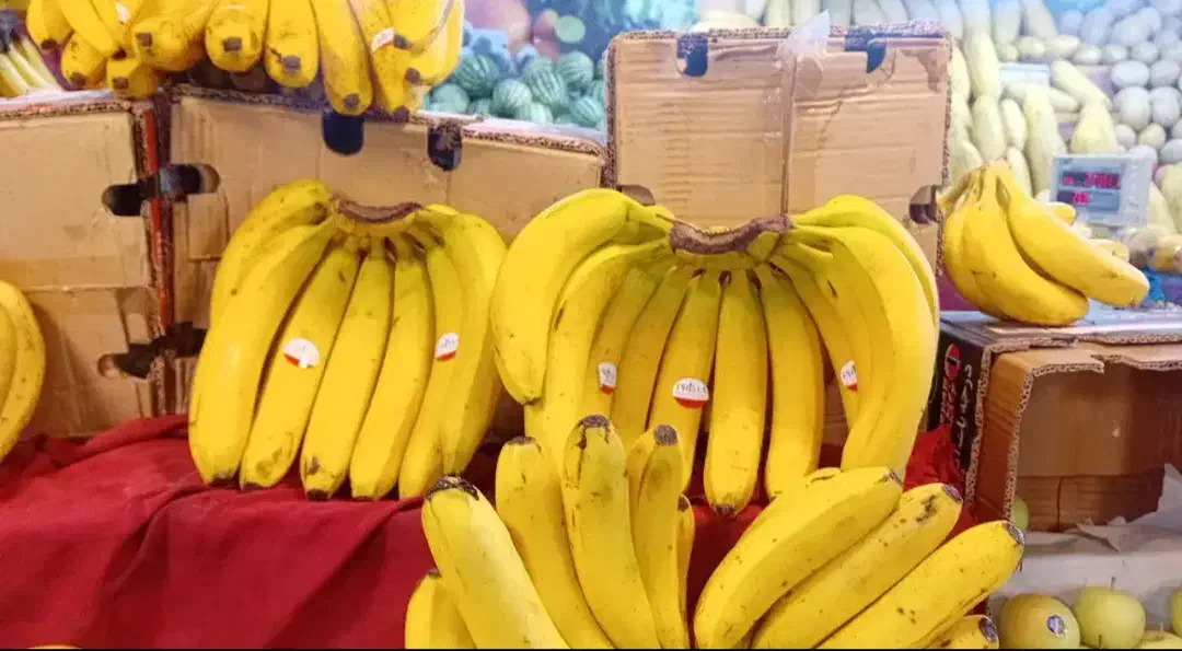 موز درجه یک مجلسی|خوردنی و آشامیدنی|مشهد, نوید|دیوار