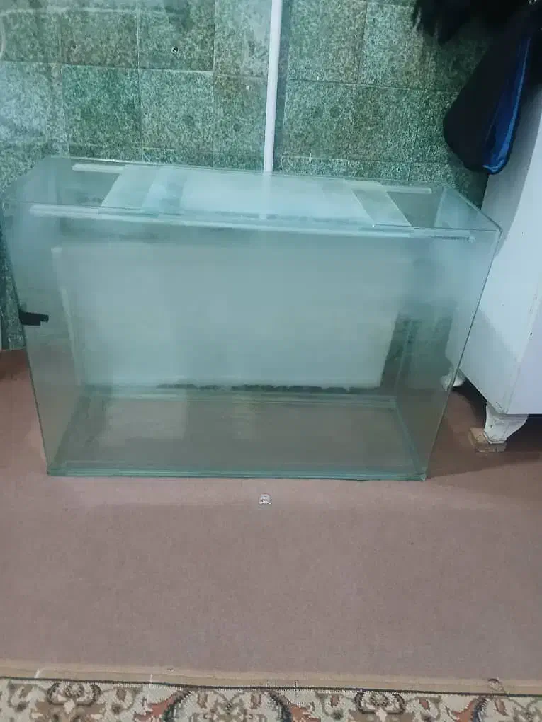 فروش اکواریوم|ماهی|سقز, |دیوار