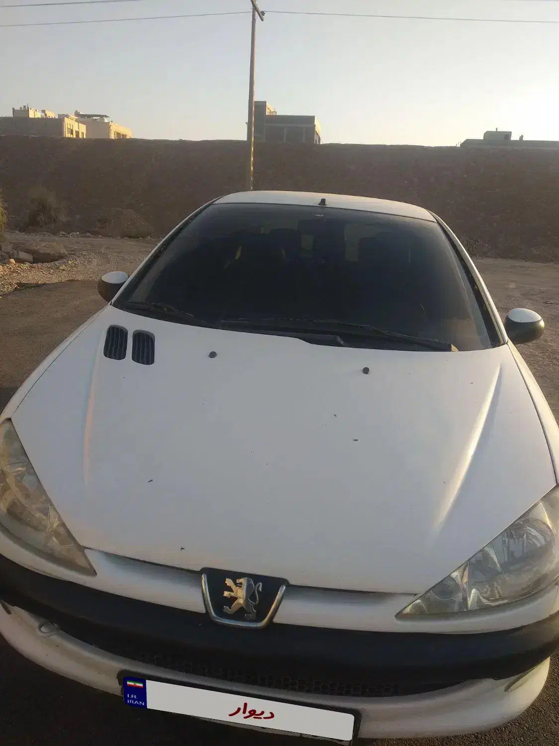 فروش ۲۰۶تیپ ۵|خودرو سواری و وانت|کرمان, |دیوار