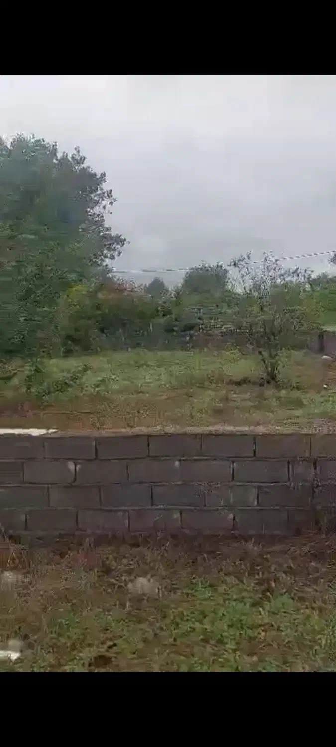 فروش زمین مسکونی ۳بهر بندر چمخاله|فروش زمین و ملک کلنگی|چاف و چمخاله, |دیوار