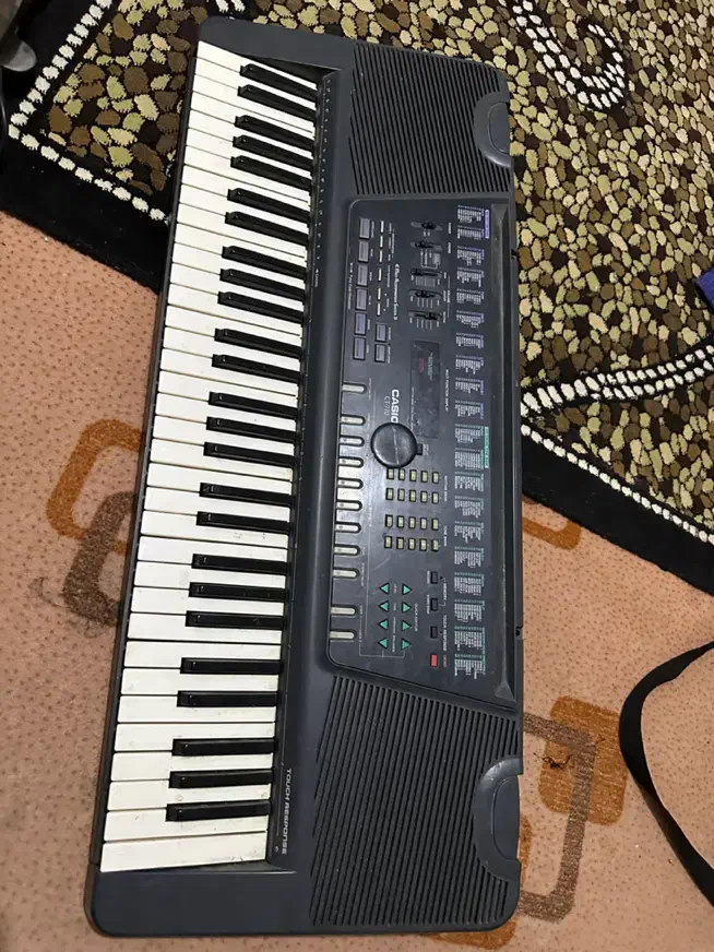 اورگ|پیانو، کیبورد، آکاردئون|مشگین شهر, |دیوار