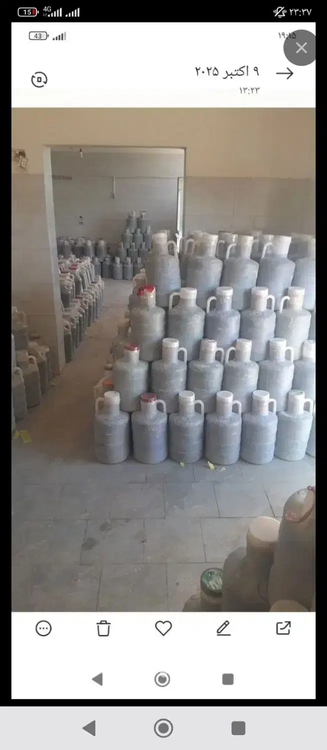 حراج خیارشورکیلویی 35دبه ای ۸کیلو۲۸۰تومن|خوردنی و آشامیدنی|تربت جام, فاز ۱ فرهنگیان|دیوار