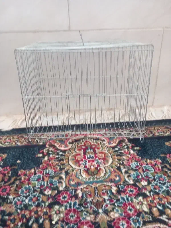 قفس|لوازم جانبی حیوانات|کرمان, |دیوار