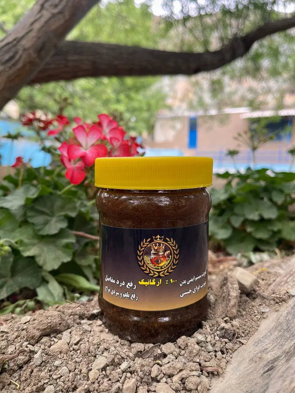 جذب نیرو، استخدام، کار با آموزش، اینستاگرام|استخدام رایانه و فناوری اطلاعات|تهران, شهرک غزالی|دیوار