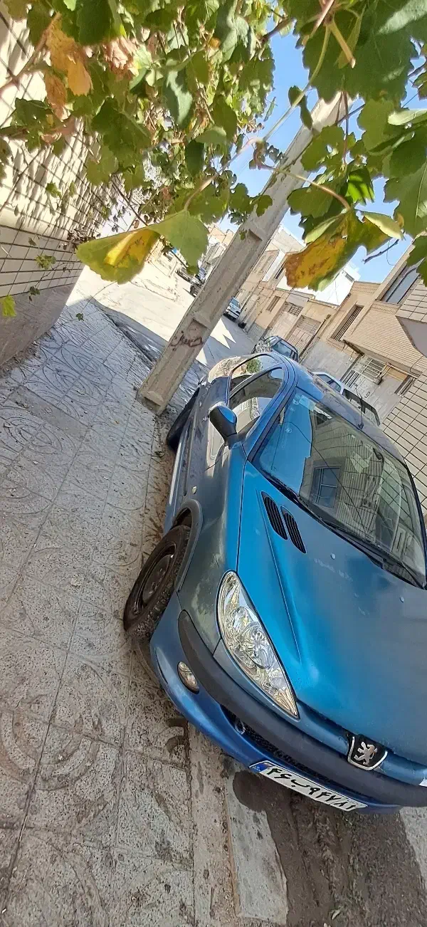 206sd v8|خودرو سواری و وانت|بروجن, |دیوار